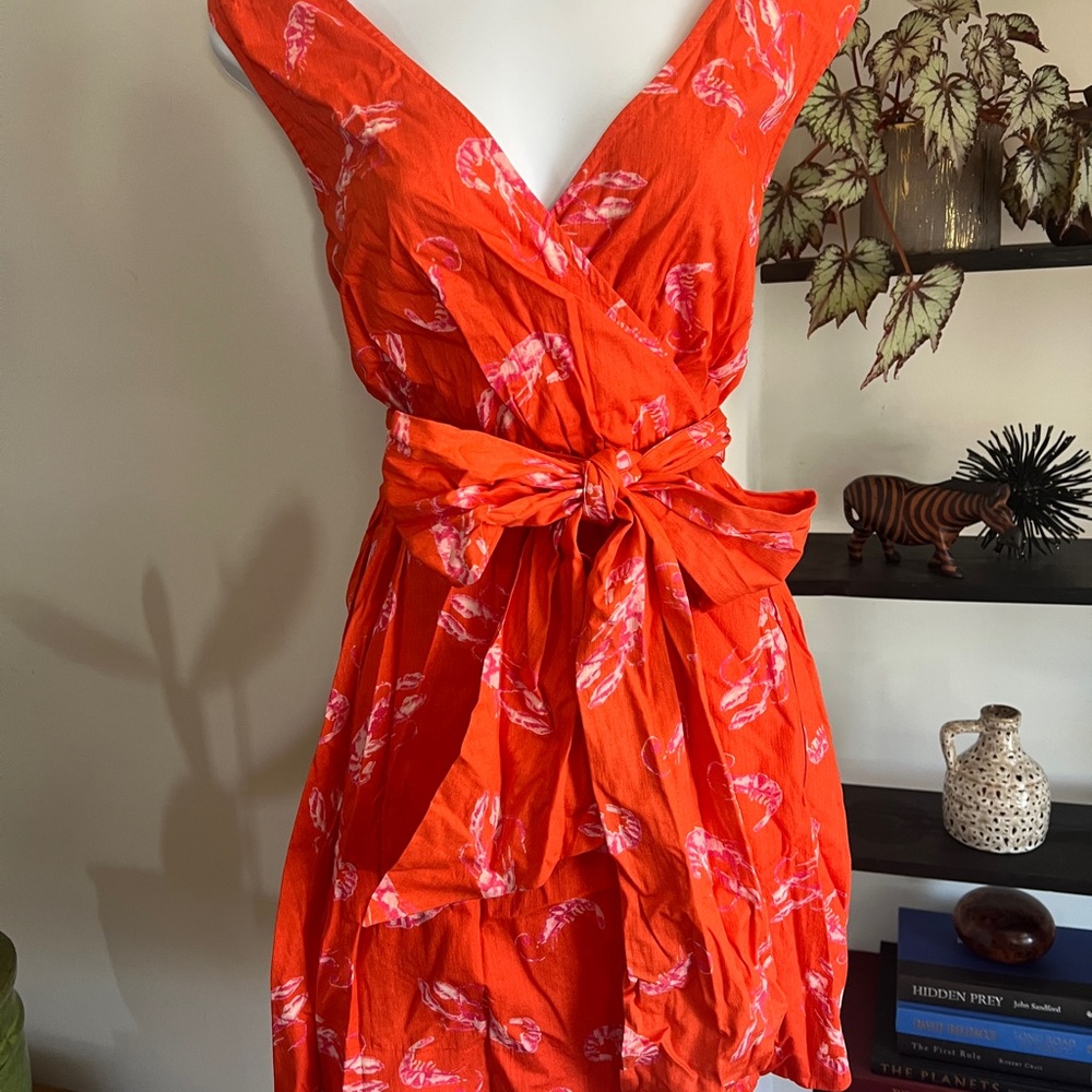 Anthropologie Red and White Tie Front Mini Sundress